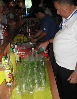 Haciendo el mojito cubano