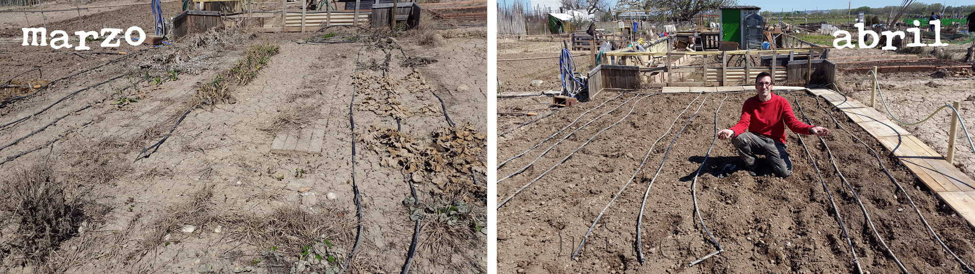 El antes y el después del huerto El antes y el después del huerto
