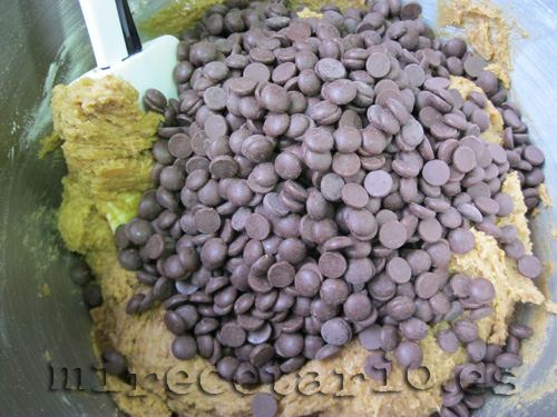 Pepitas de chocolate