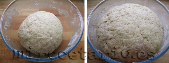 La masa integral La masa integral