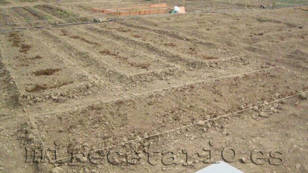 Los bancales una forma de organizarme el huerto Los bancales una forma de organizarme el huerto