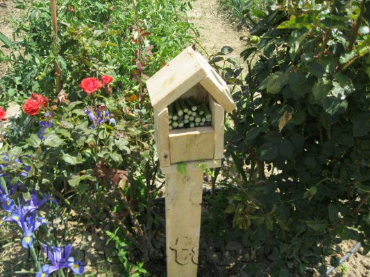 La casa de mariquitas La casa de mariquitas