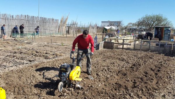 La motoazada, una vez y no más La motoazada, una vez y no más