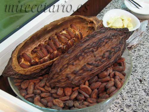Chocotour, Chocolate y Cultura en Zaragoza