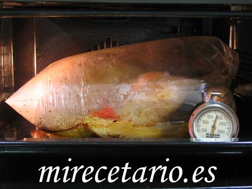 Pollo Asado en Bolsa de Plástico