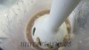 La salsa o puré, castañas y agua de la cocción.
