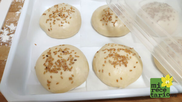 Tupers para congelar el pan de hamburguesa